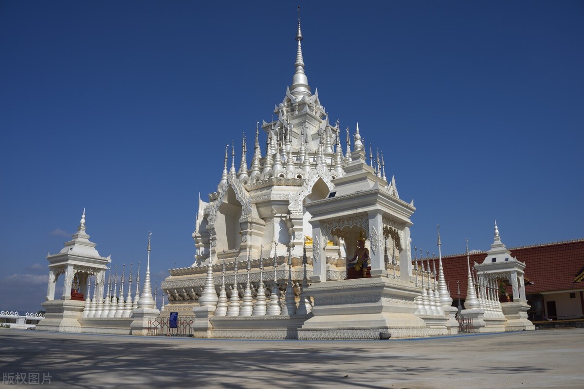 2022西双版纳门票免费的景区,西双版纳望天树景区与热带植物园