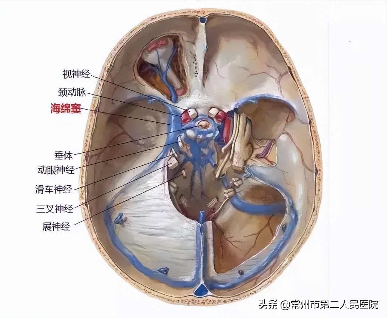 寻医30年的视频,疑难杂症寻医问诊