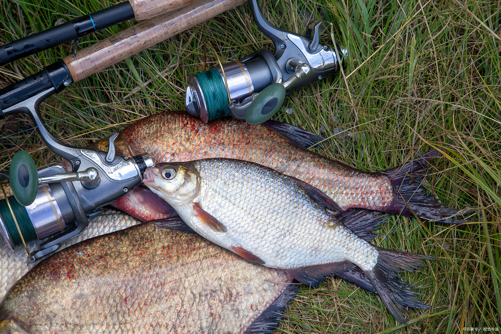 路亚威海鱼竿,威海海钓路亚鱼竿推荐