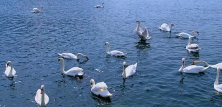 跨部门沟通协作障碍原因,跨部门沟通的障碍视频