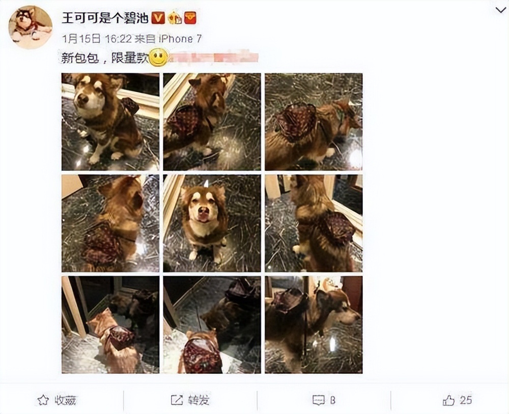 中国的富二代们现状,中国富二代们