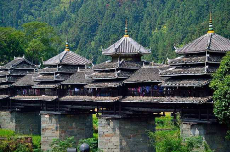 无脚鸟飞走,无脚雨燕如何繁殖