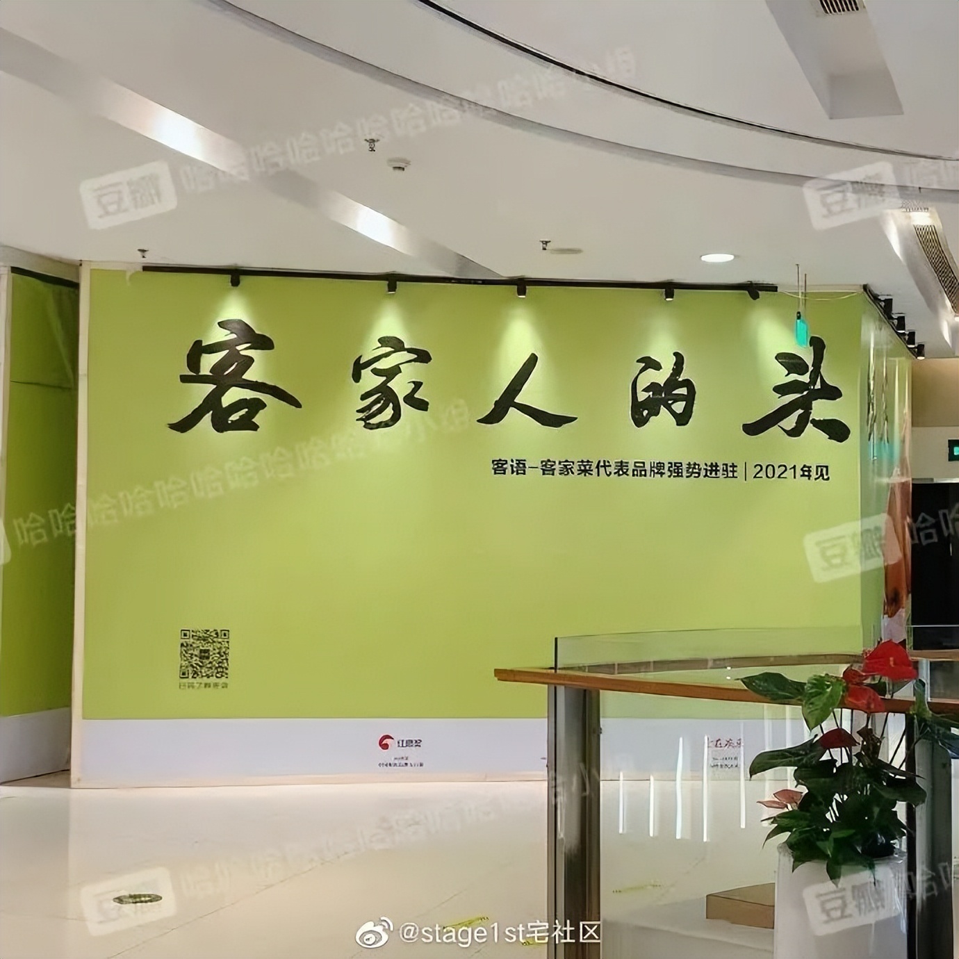 关于情人节的花式陷阱|冷段子2428去年今日2070