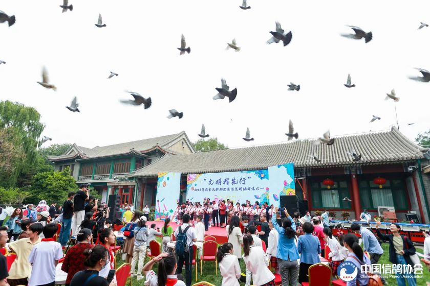 宋庆龄故居内和平鸽舍,建党100周年庆祝大会放飞和平鸽