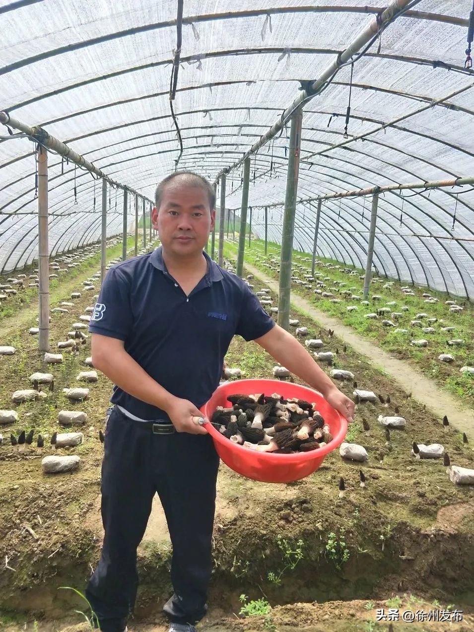 徐州市2022年“创业之星”，是他们！