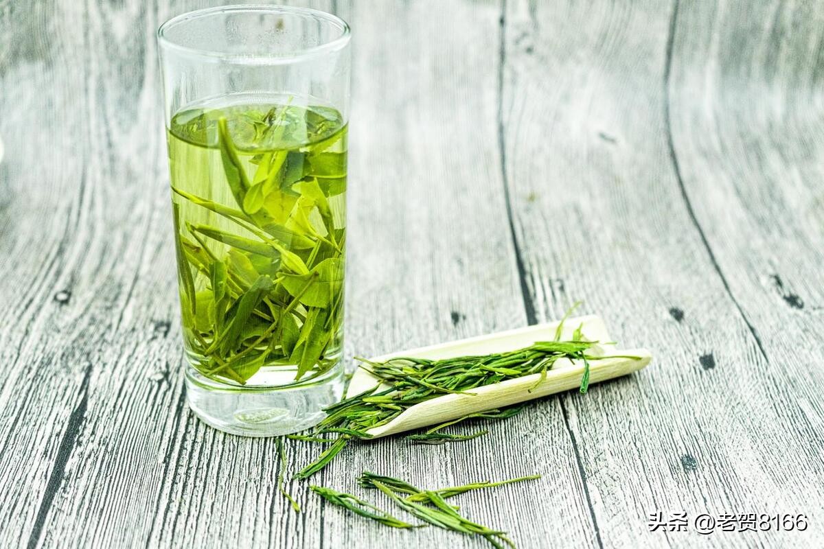 三伏天适合糖尿病人喝的养生茶,降血糖夏季喝什么茶