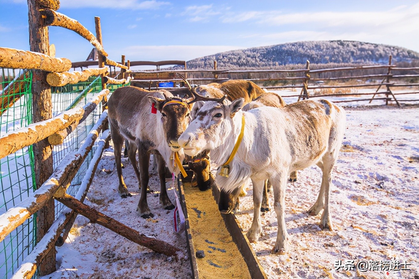 推荐几个国内风景优美的旅游胜地,十大推荐旅游地方中国
