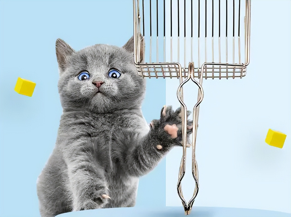 猫砂盆app开发,猫砂铲屎神器