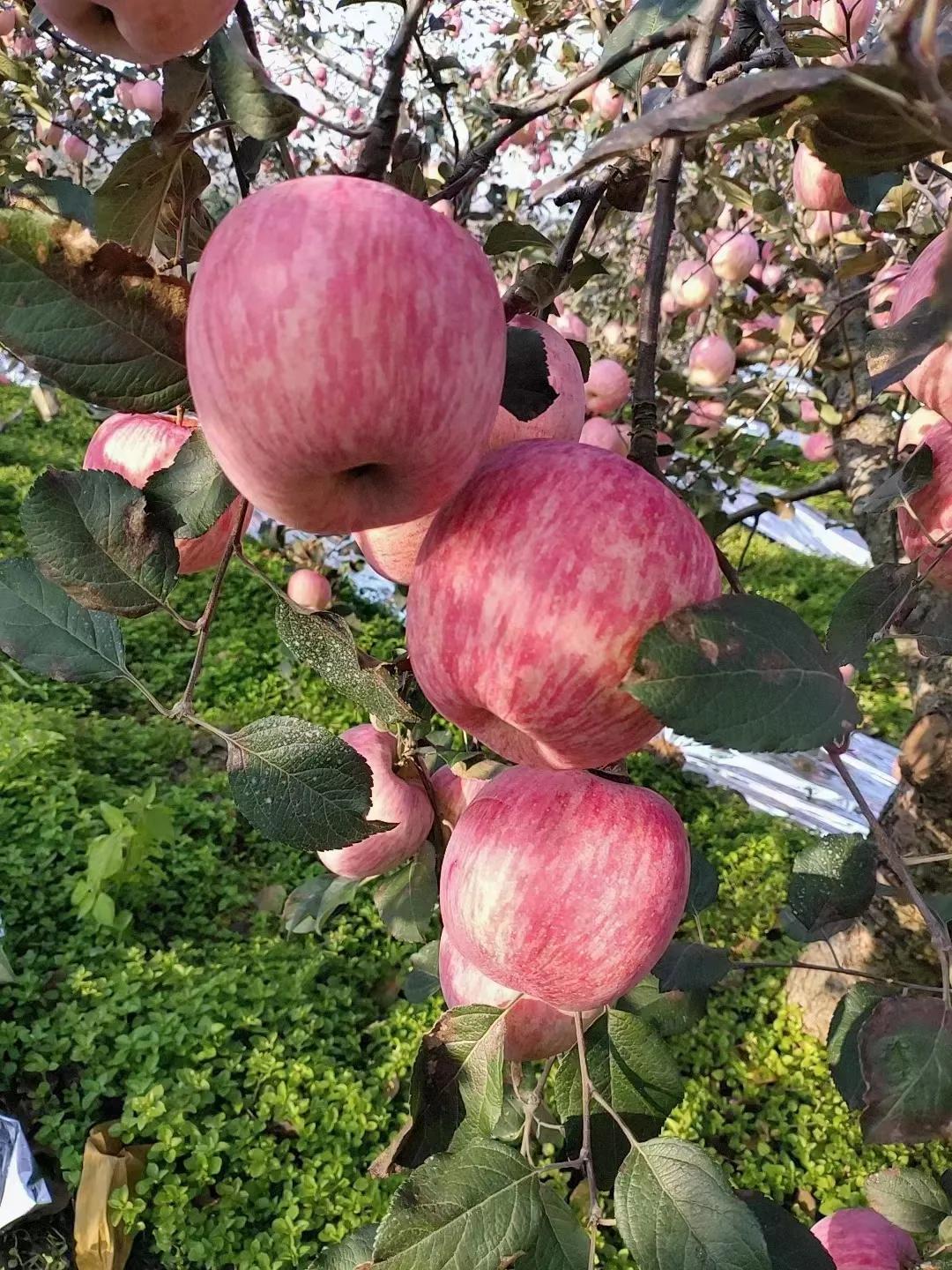 该怎样走出负债困境？