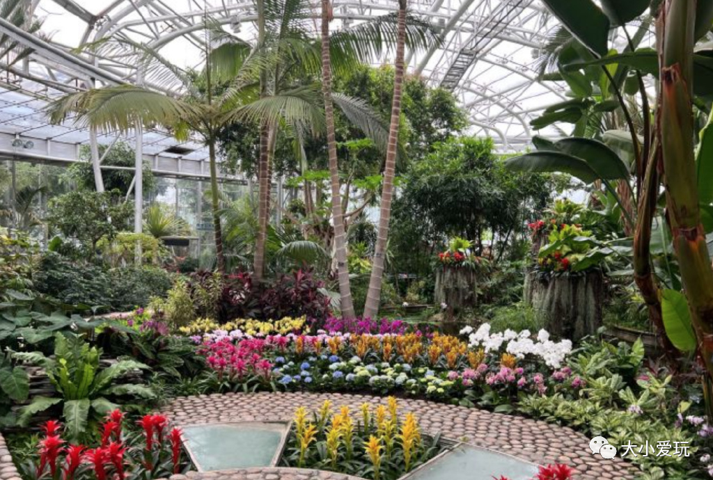 北京赏秋打卡地银杏大道,北京10条最值得打卡赏红叶线路