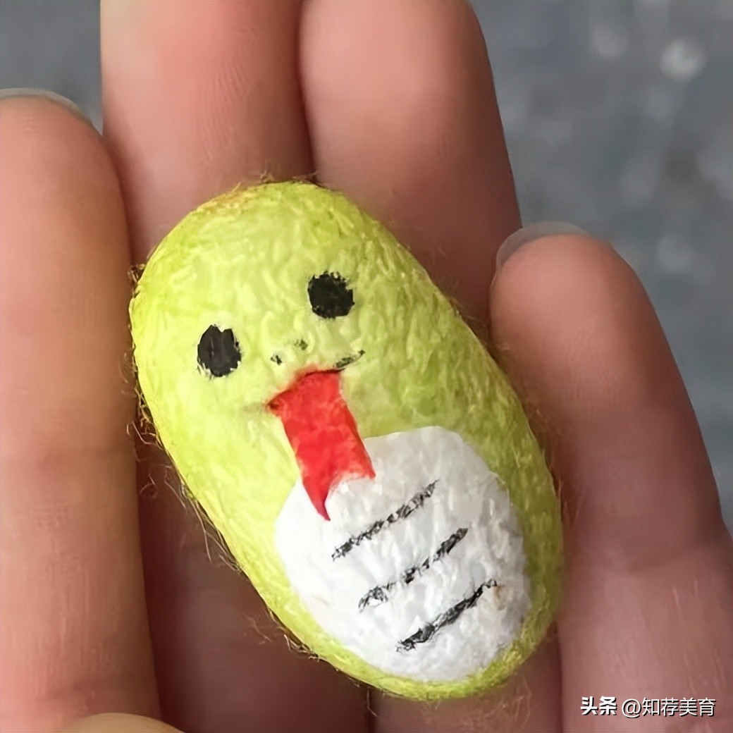 探寻桑蚕文化感受桑蚕之美,走进蚕桑研究所探寻蚕桑文化