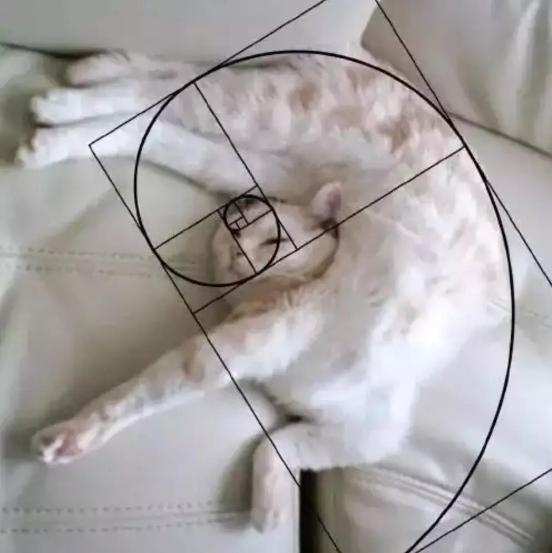 风扇上的灰尘为什么不会被甩掉 (为什么风扇上方落的灰尘比较多)