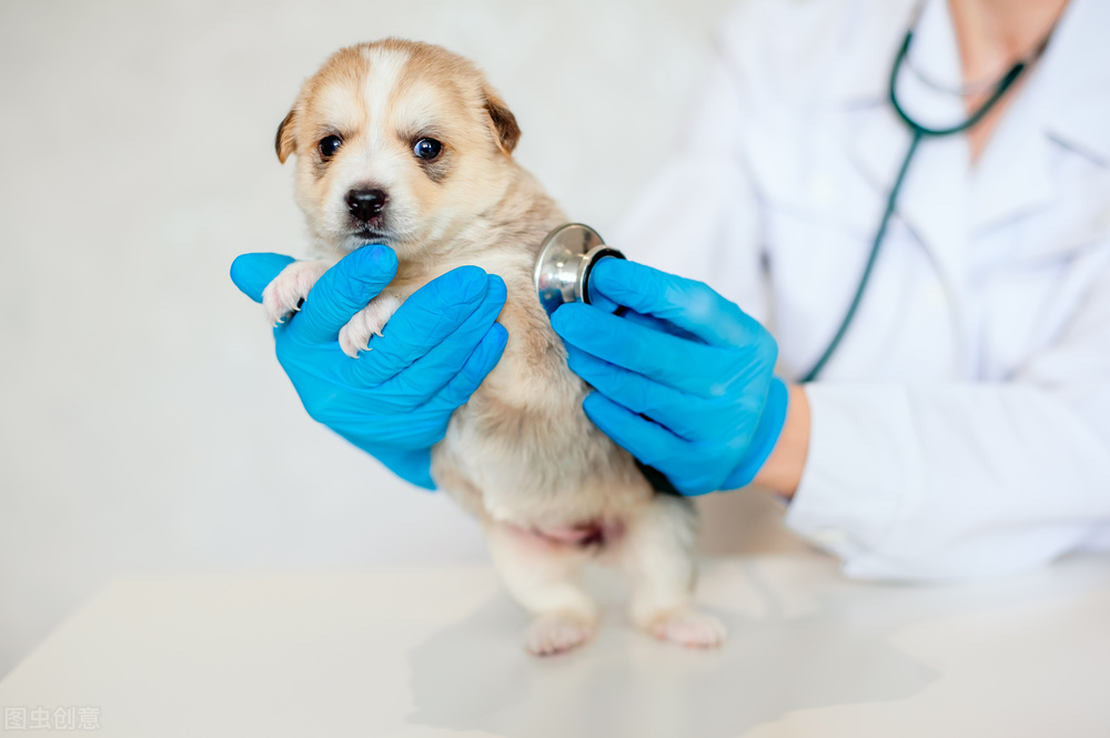 小狗感冒咳嗽流鼻涕用什么药啊,宝宝感冒咳嗽喉咙有痰几天康复