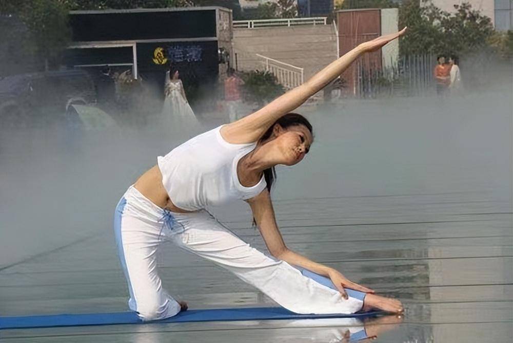 体操女神戴菲菲,菲菲绯闻事件