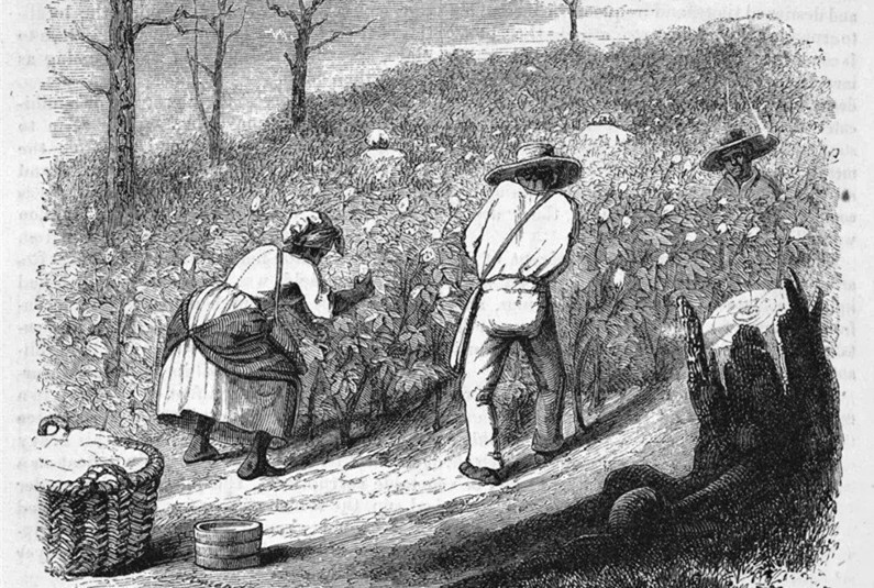 美国黑奴悲惨历史,80年代黑奴的血泪史电影