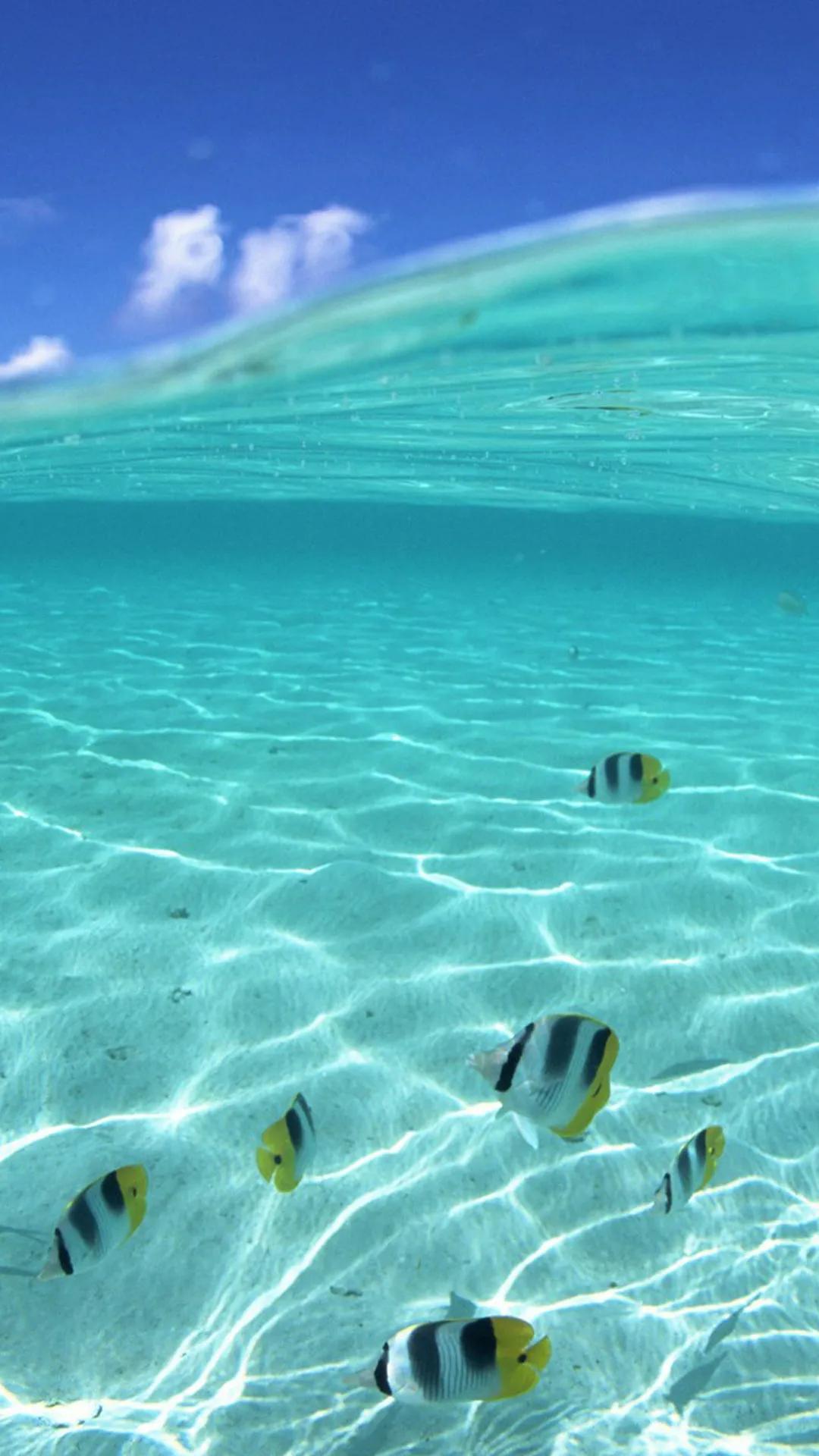 蓝色海景壁纸图片大全,海景壁纸4k超清全面屏