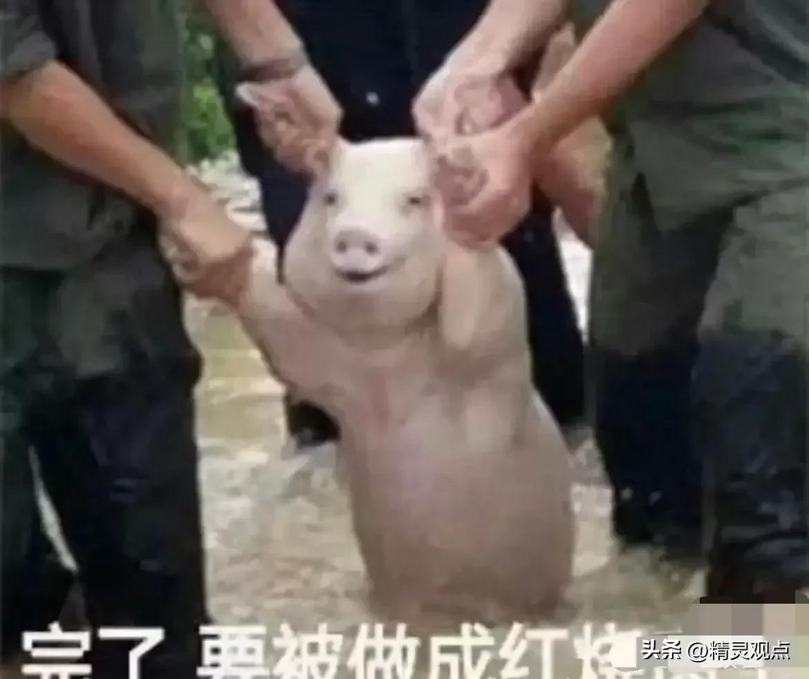 球迷冲入球场拥抱梅西被行拘点评,冲进球场拥抱梅西的道歉视频