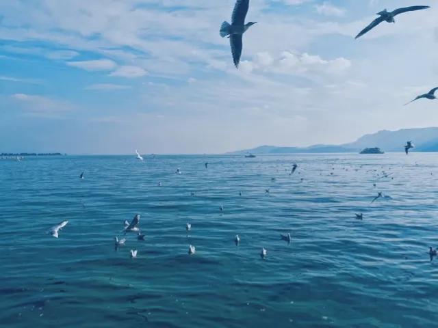 云南昆明详细旅行攻略,去云南昆明旅游的感受