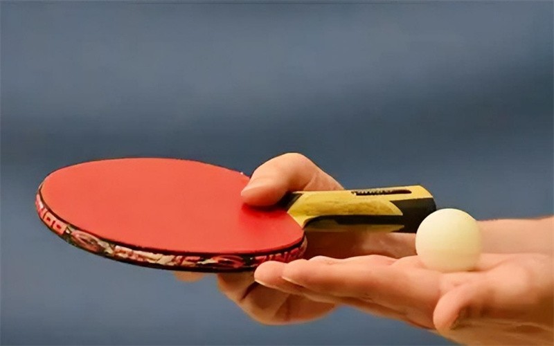 乒乓名将梁丽珍家庭情况,乒乓球运动员梁丽珍简历