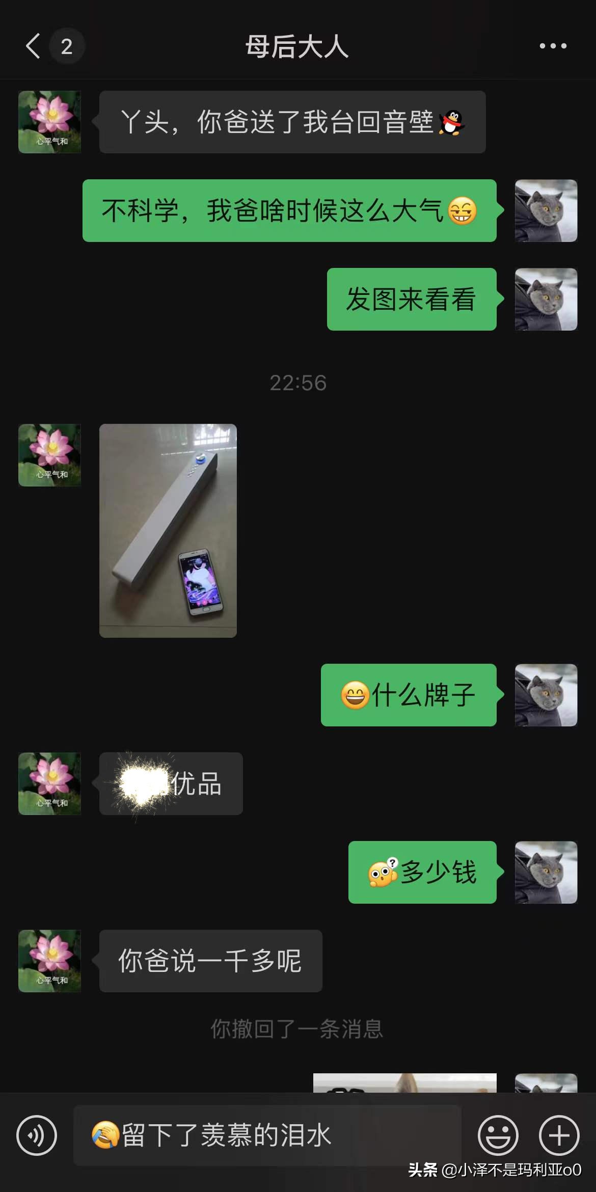 别再把条形音响当回音壁了！深入浅出，手把手教你分辨真假回音壁