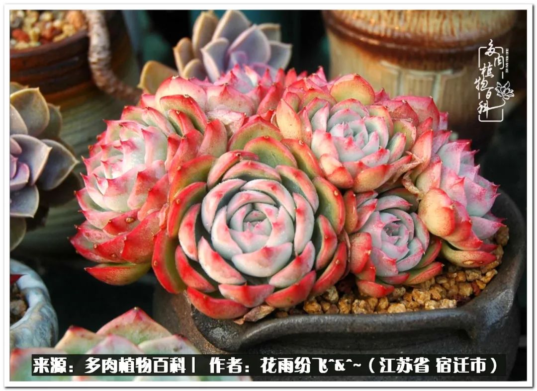 回味童年无忧无虑的快乐时光,童年最快乐的时光