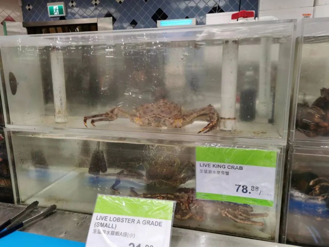 移民多伦多需要什么,移民多伦多做什么