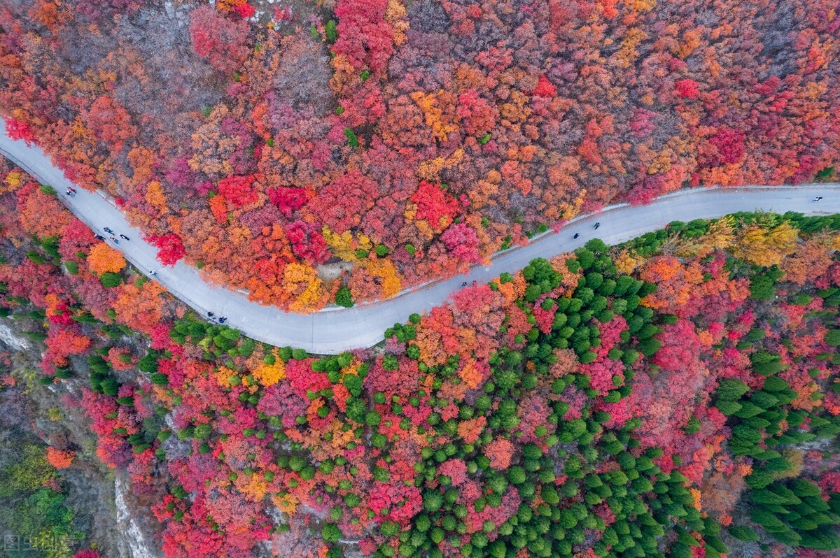 没想到济南的秋天竟然可以这样美,秋天济南哪个景区最美