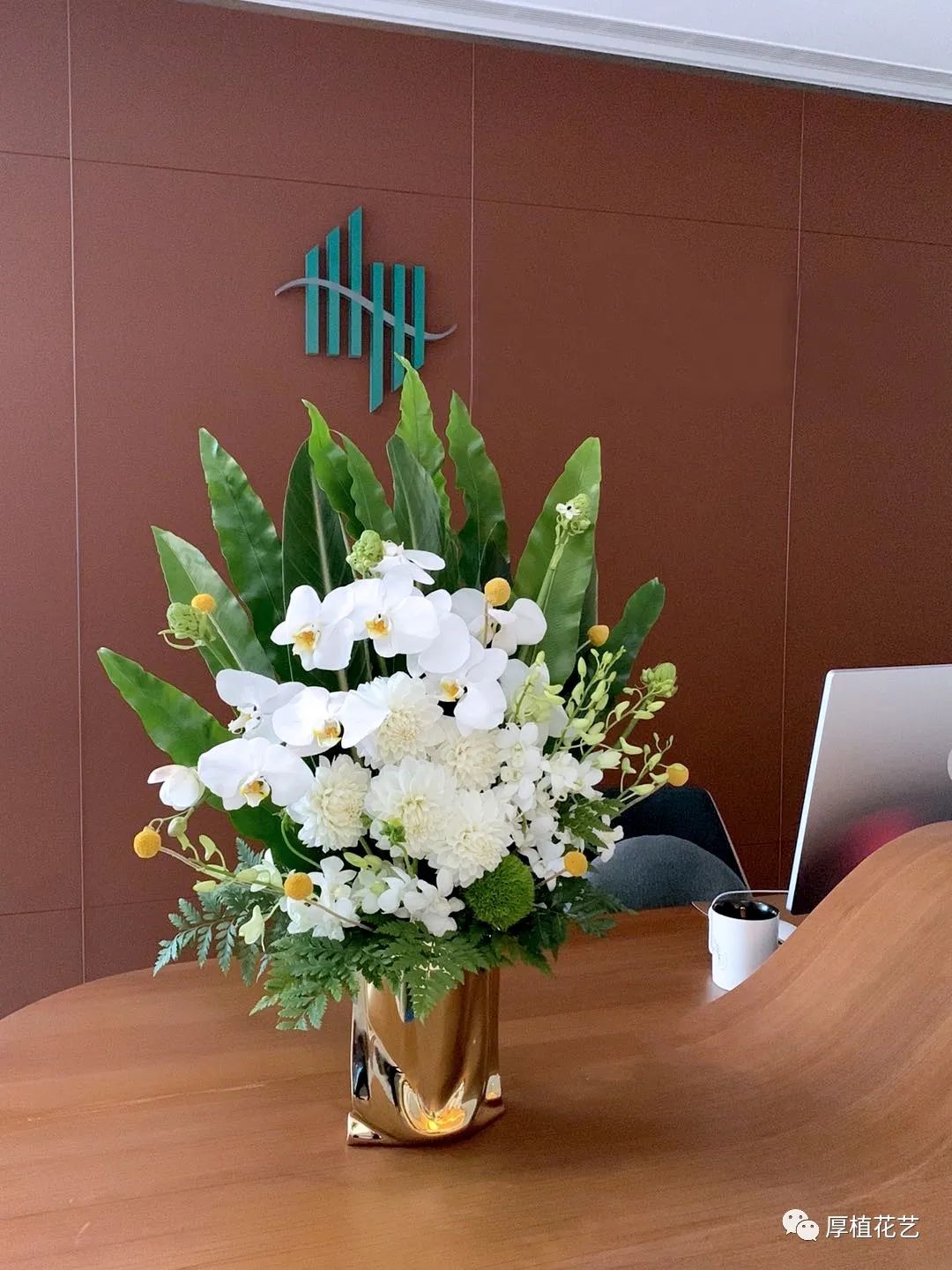 商务前台鲜花,前台花选择