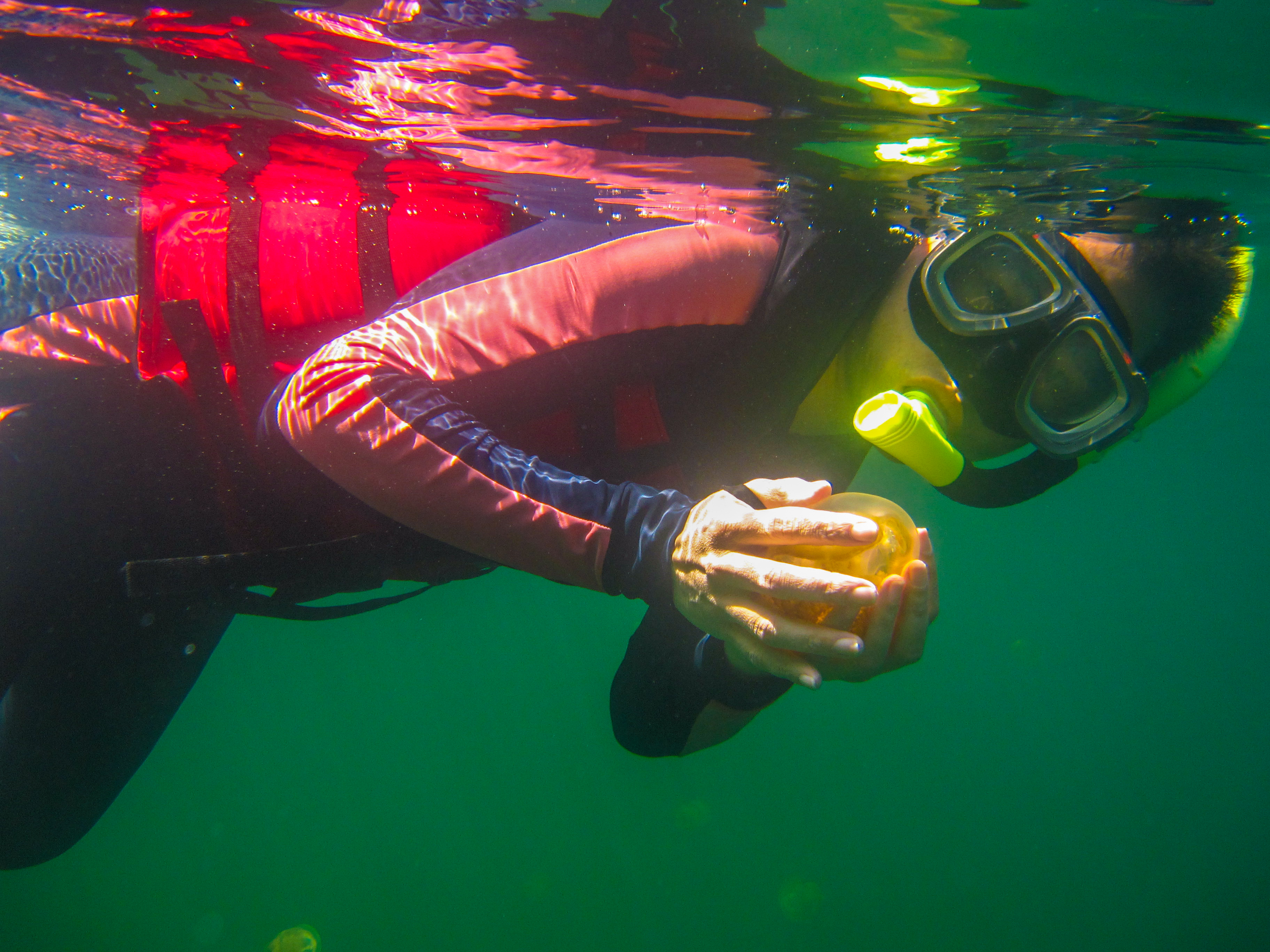 上帝的水族箱,上帝的鱼缸马尔代夫