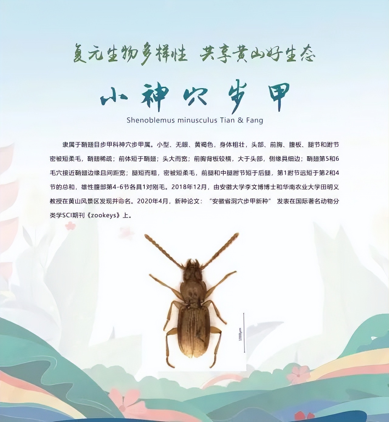 合肥二十种人气美食,合肥好吃的美食排行榜海鲜