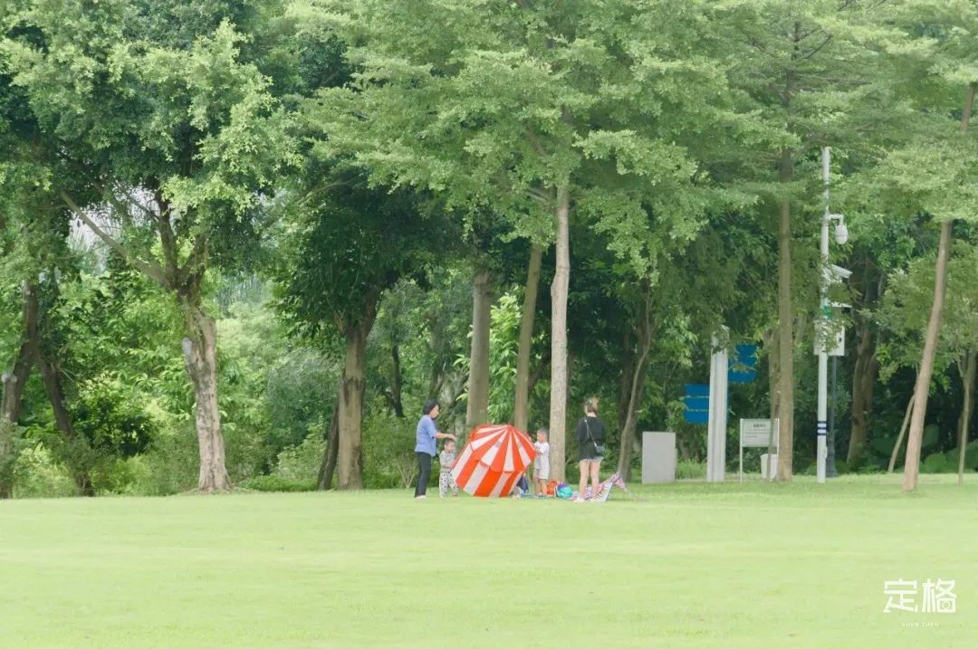 深圳免费露营的公园推荐,深圳22个露营公园