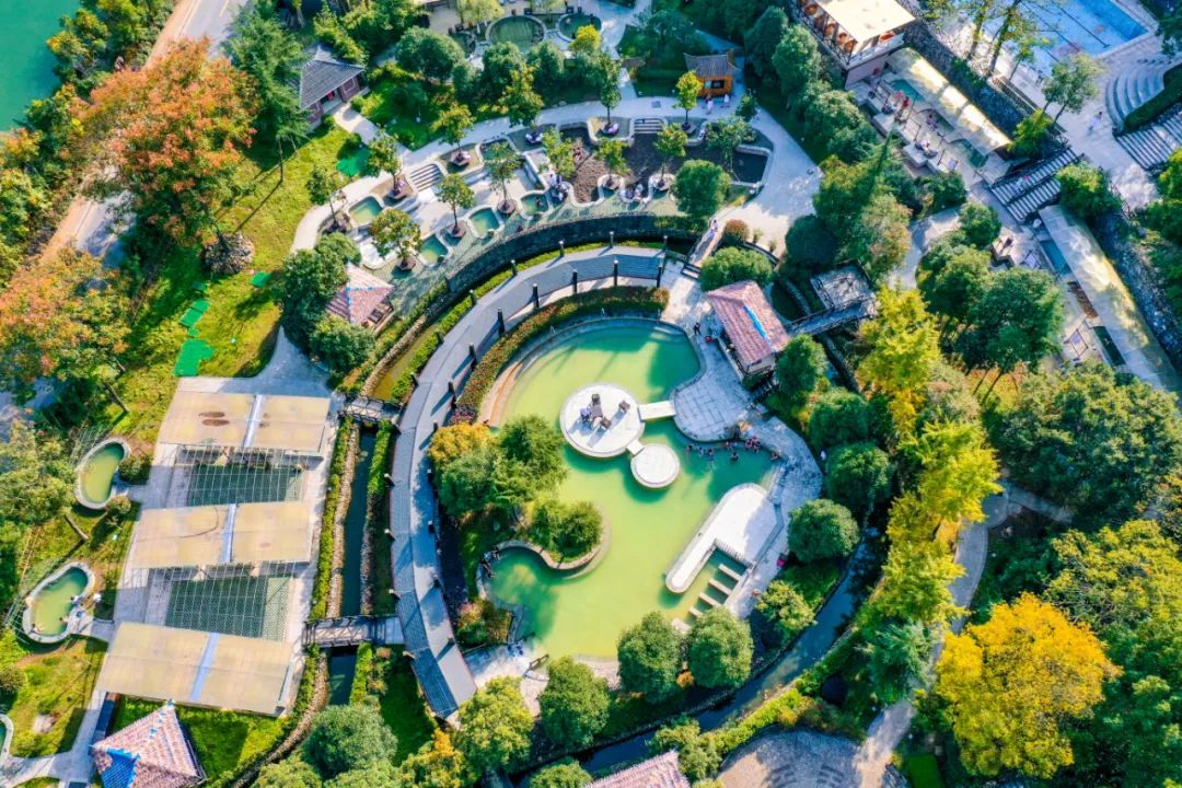 到咸宁看国宝过大年,离家45年的国宝回湖北咸宁过年