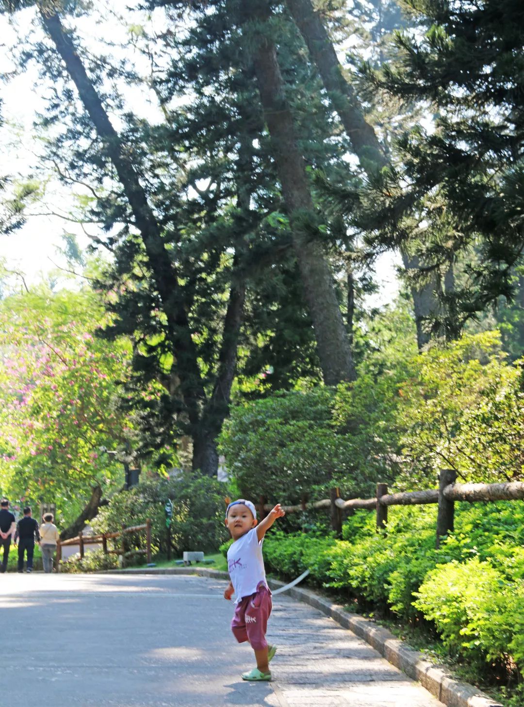 厦门旅游亲子酒店,厦门岛内亲子好去处