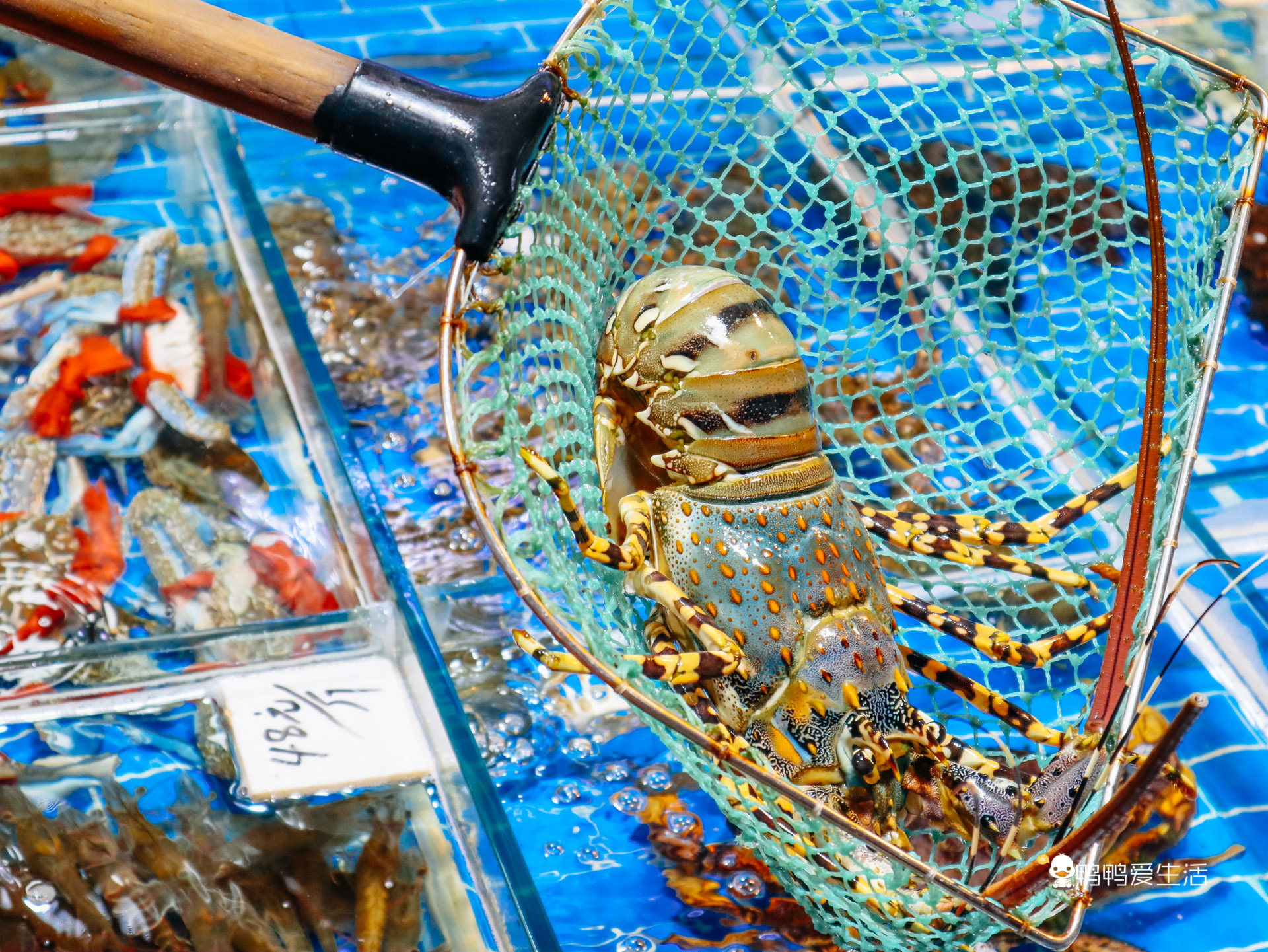 厦门老字号十大名店,厦门老字号肉松