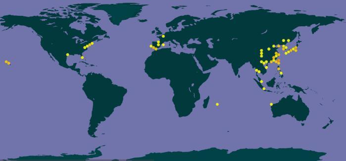 郑州黄河边捉老鳖,山东河南交界处黄河老鳖