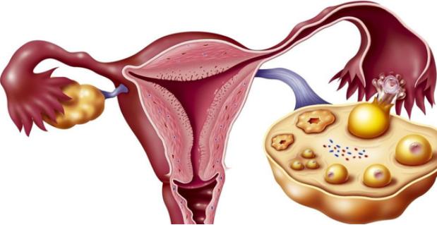 乳腺囊肿结节有13x4mm混合性回声,结节囊肿有什么区别呢