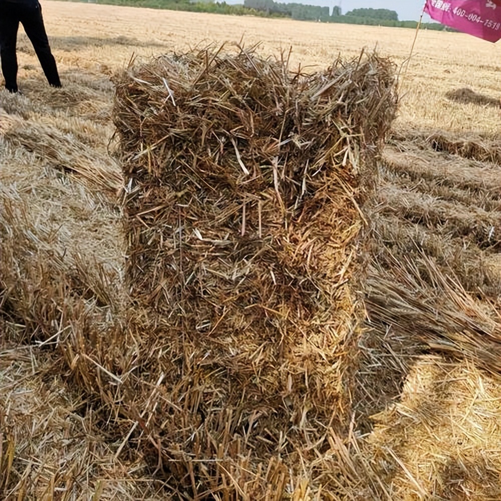 秸秆打包10元一亩,秸秆粉碎打包一捆多少斤