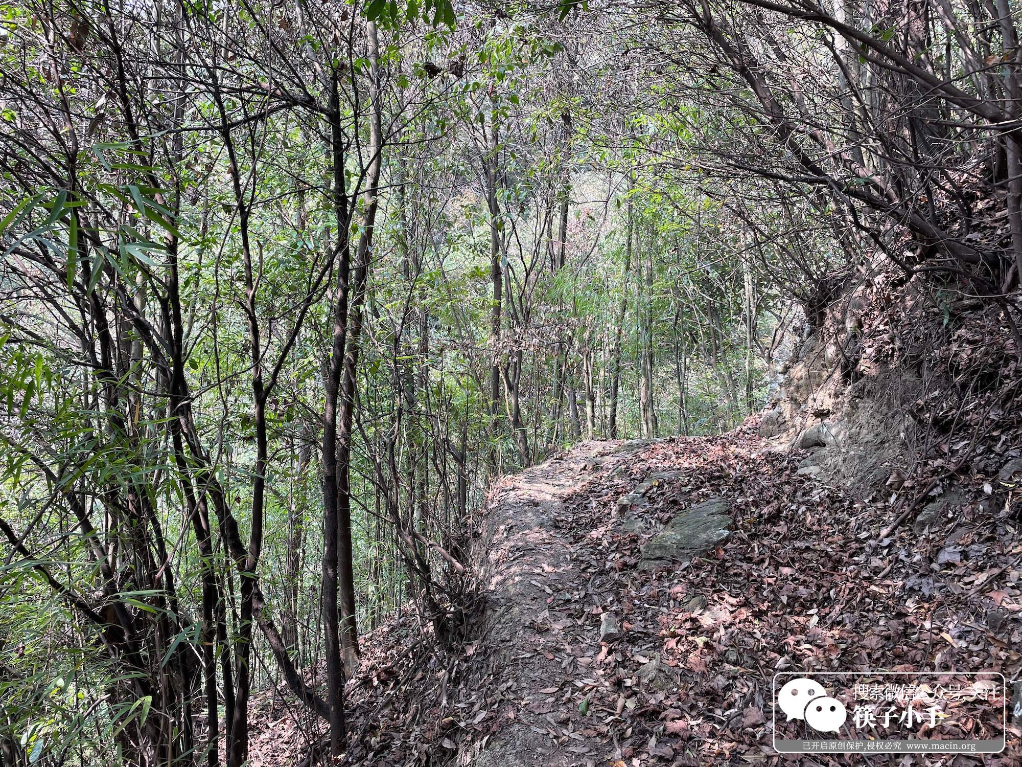 悬崖村步行道原来的样子,凉山悬崖村徒步