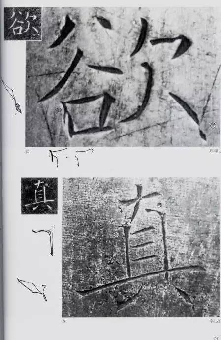 宸ョ瑪鐢绘潹鏅箟鐢诲唽,鏉滈箖鏉ㄦ櫘涔夊畬鏁寸増