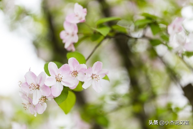 女人这样称呼你说明是真的喜欢你,女生用这六种方式称呼你说明喜欢