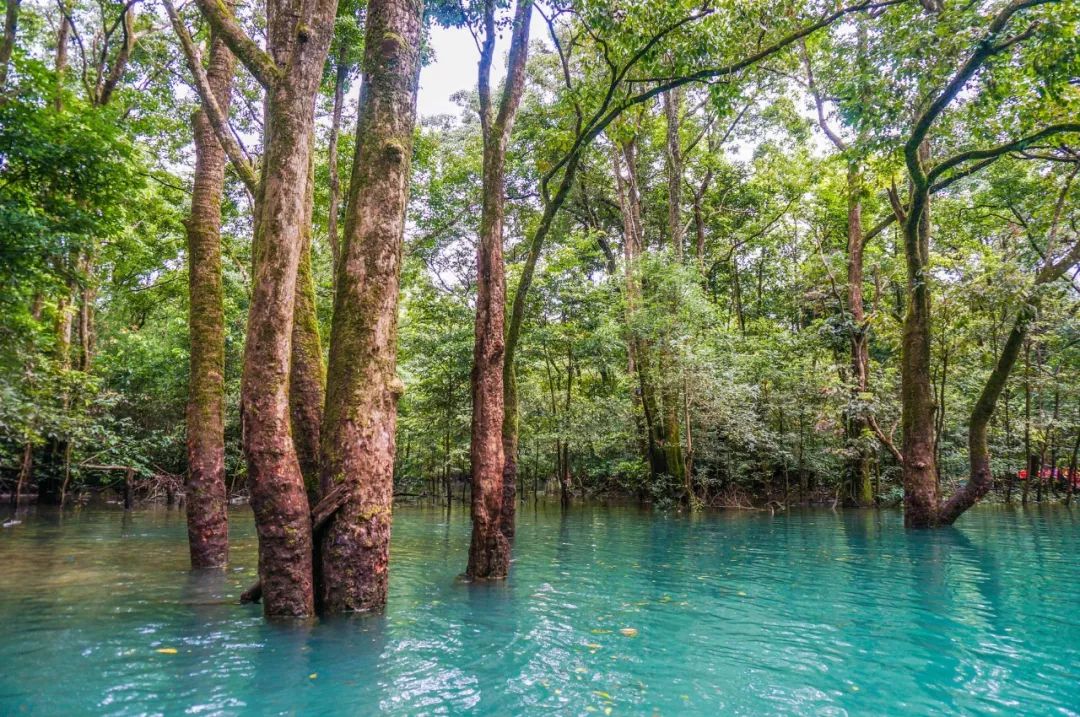 十首禅意古诗诗词,十首顶级五字禅意诗