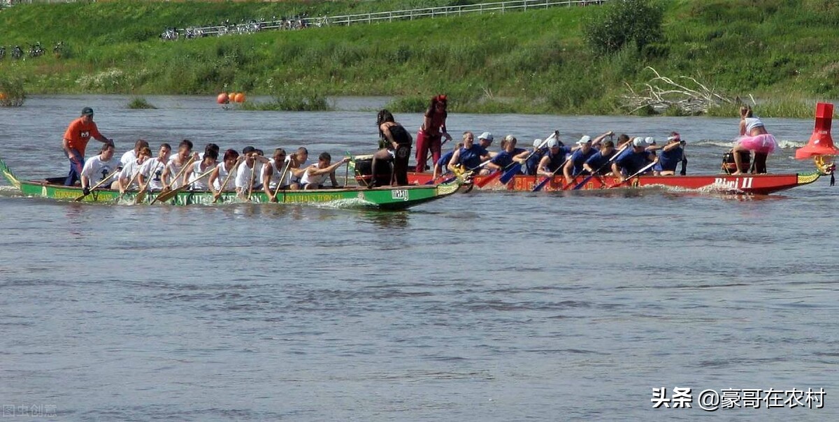 端午节挂艾草你知道有哪些讲究吗,端午节挂艾草有哪些讲究分享大家