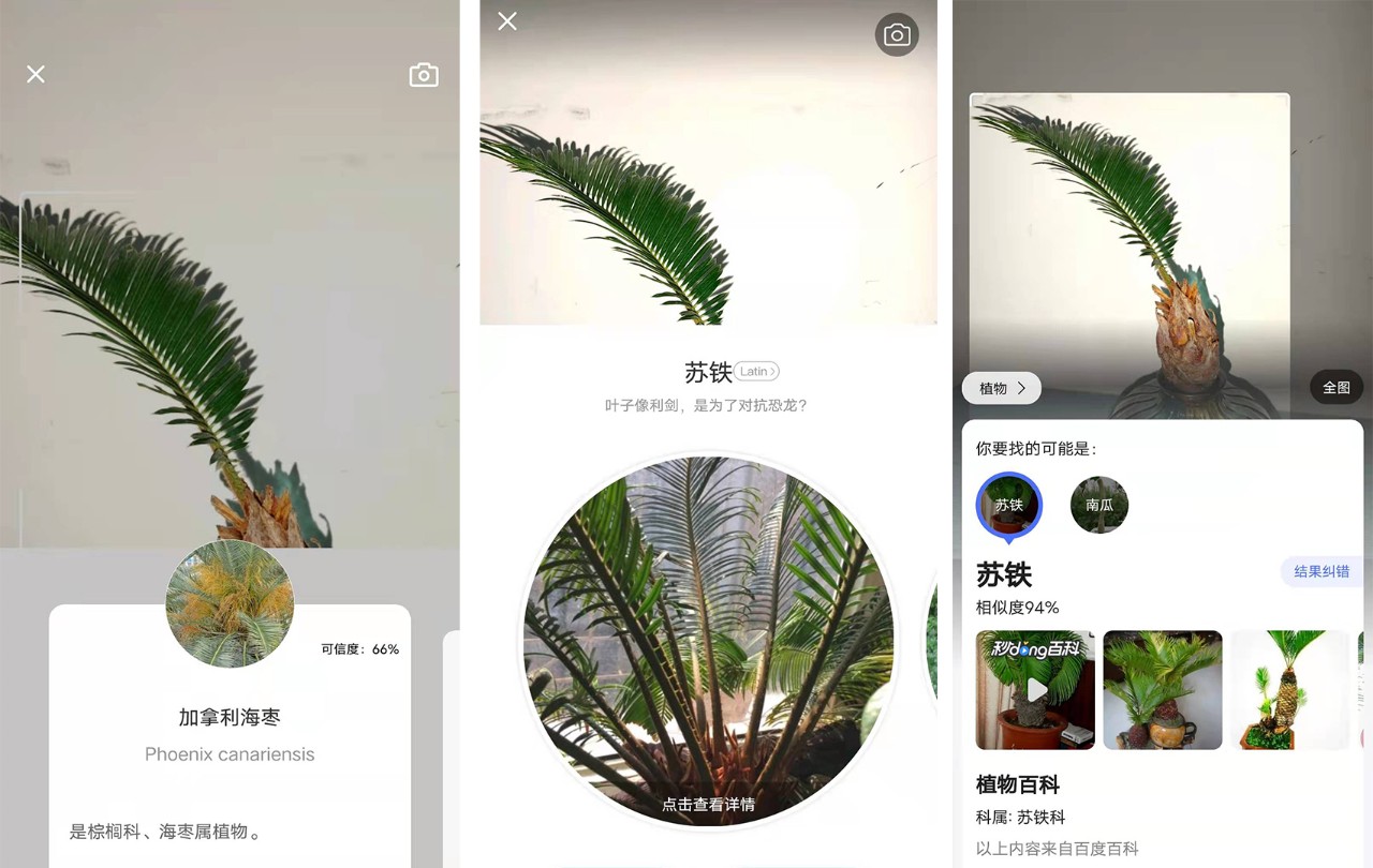 养花好物神器,花友必备神器