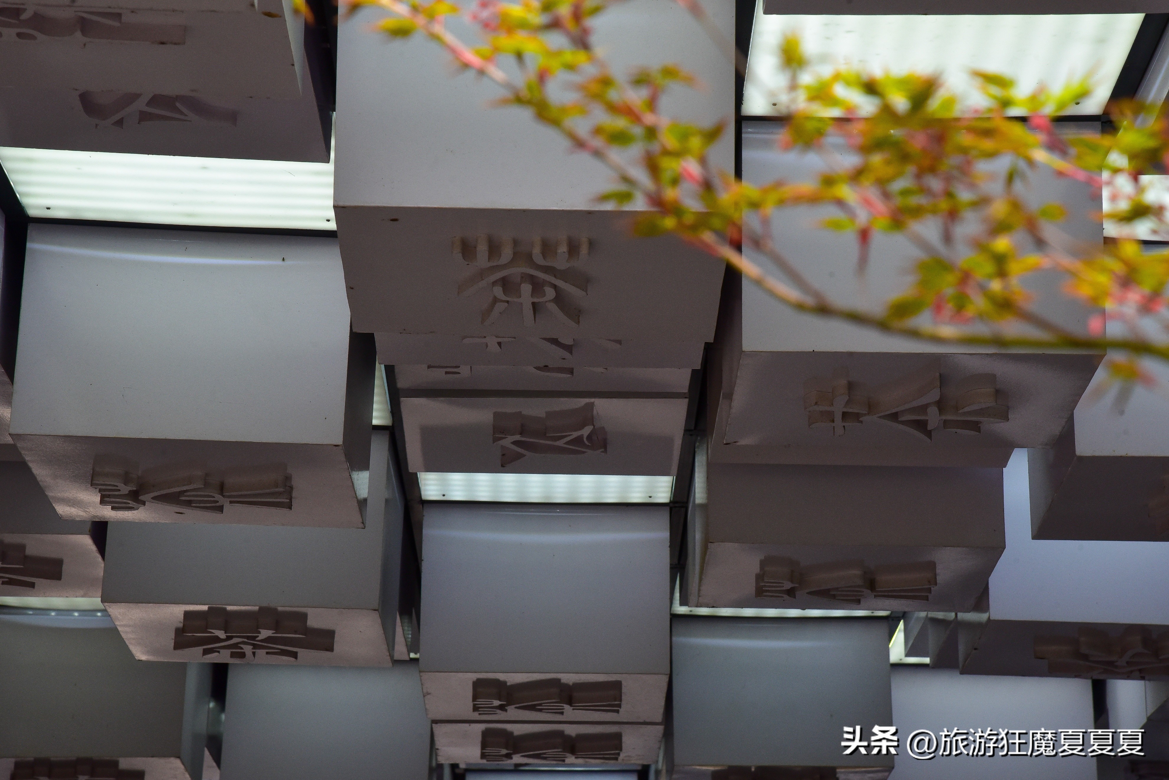 日本抹茶党必去之地,径山抹茶和抹茶区别在哪