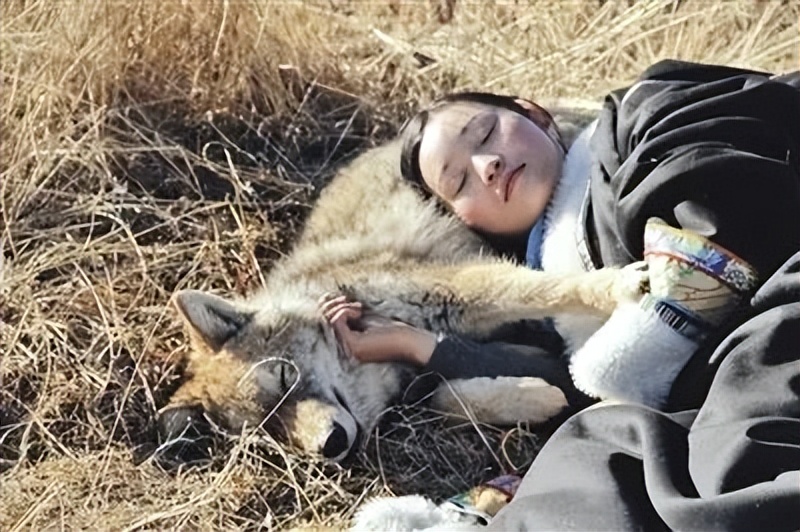 成都画家在草原写生收养狼的故事,成都女青年画家意外收养一只幼狼