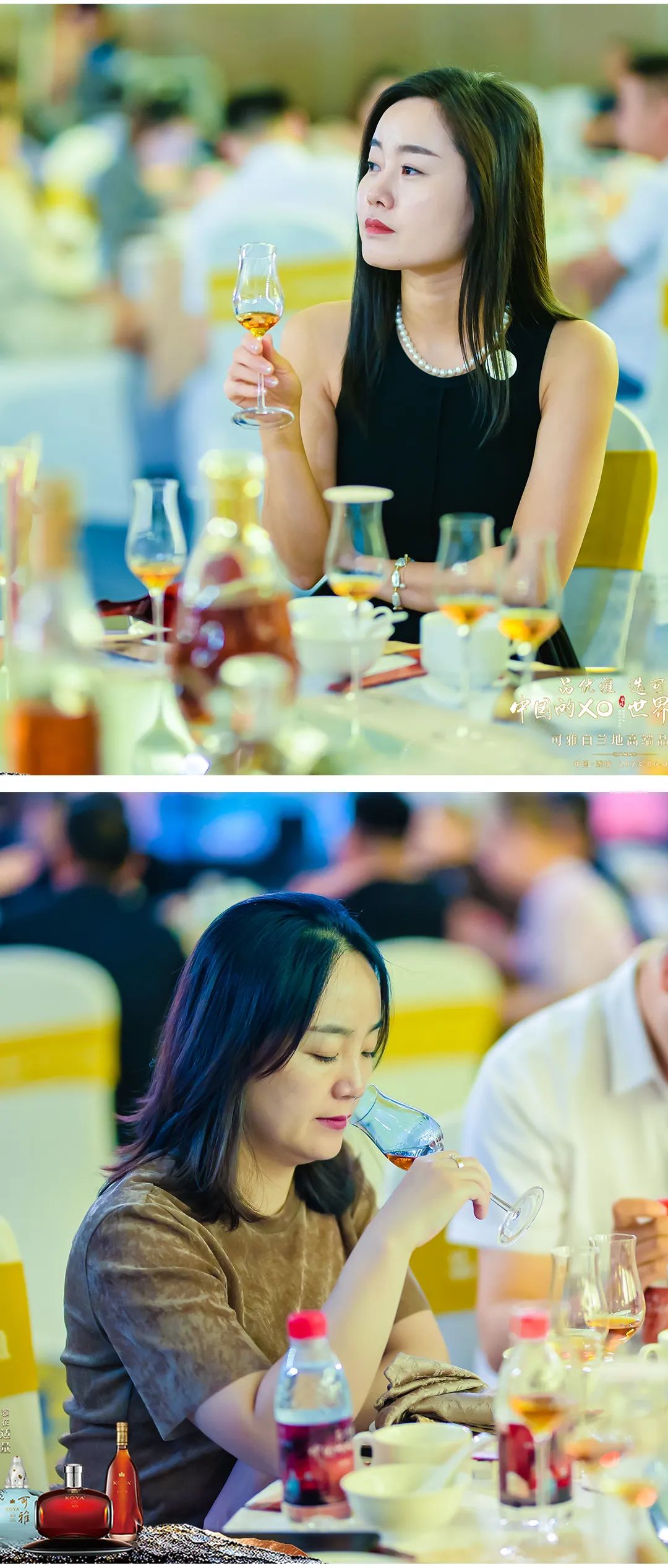 聚焦高端白兰地市场可雅高端品鉴会雅耀鸢都