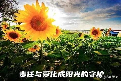 #中国女篮时隔28年再进世界杯决赛#感谢给了我们一道温暖的阳光