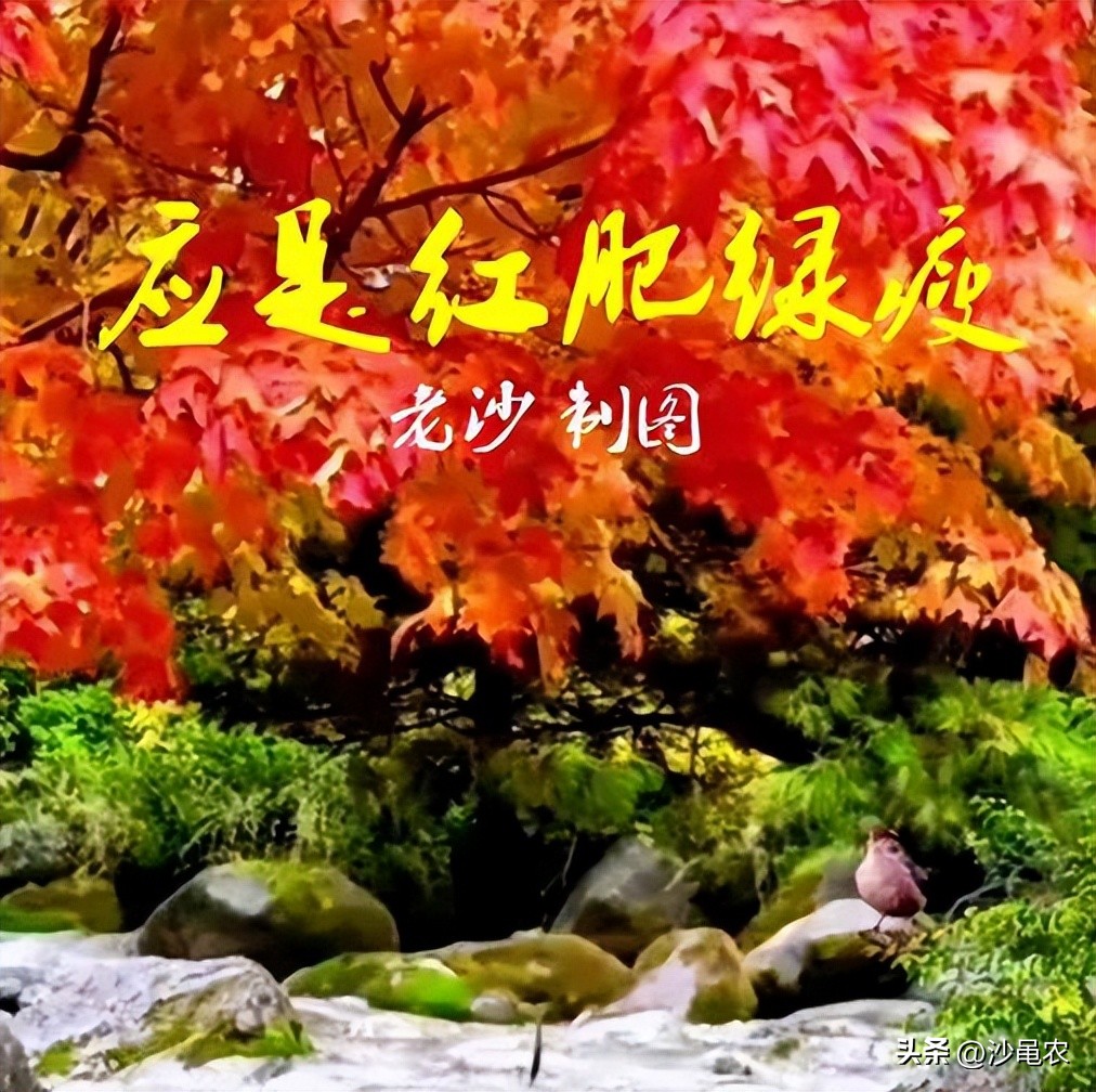 股市上午跌下午涨明天怎么操作,股市早8点选择什么方向