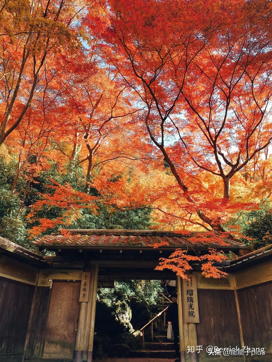 iphone12相机美颜怎么开,iphonex相机最佳设置