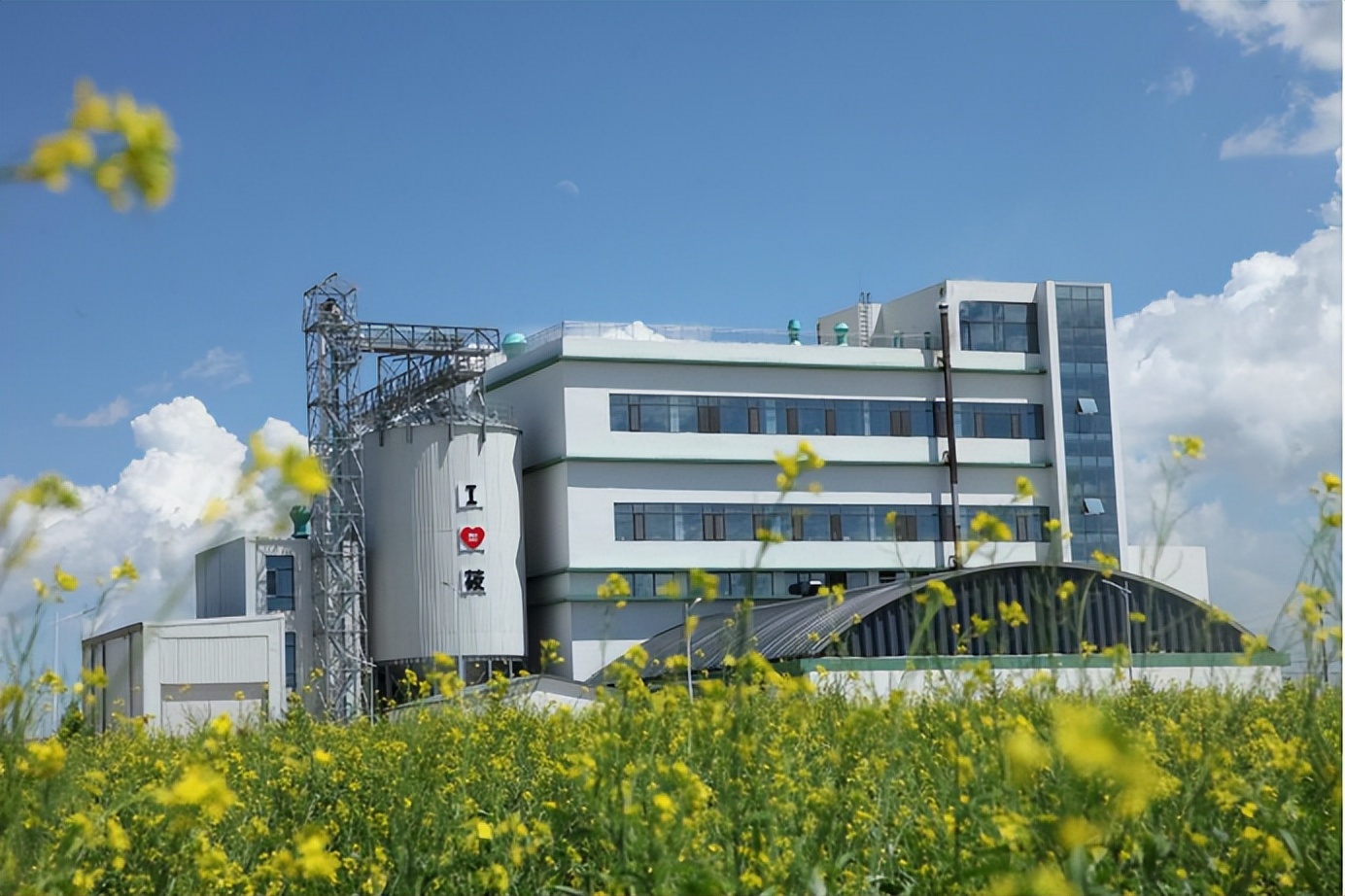 西贝莜面村有机五常大米,记者暗访西贝莜面村